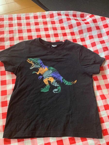 140センチ　恐竜Tシャツ