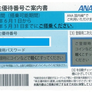 【１枚】ANA(全日空)株主優待券 (有効期限:2024/5/31搭乗分まで )の画像1