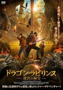 ドラゴン・ラビリンス 迷宮の秘宝 レンタル落ち 中古 DVD