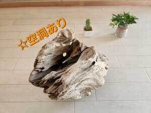 処理済み　約27×20センチ流木　45センチ規格水槽　アート　インテリア　アクアリウム　ビバリウム　パルダリウム　テラリウム　No.29