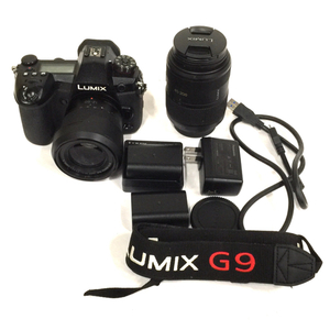 1 иен Panasonic LUMIX DC-G9 G VARIO 1:4-5.6/45-200 1:3.5-5.6/12-60 беззеркальный однообъективный объектив C011005