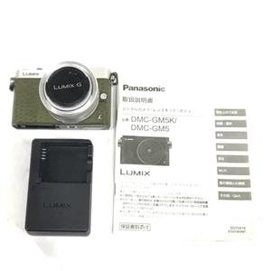 1 иен Panasonic LUMIX DMC-GM5 G VARIO 1:3.5-5.6/12-32 беззеркальный однообъективный цифровая камера L291817