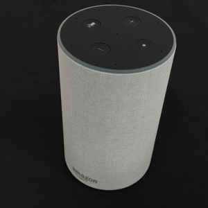 Amazon Echo Smart speaker PS73BR Amazon eko - electrification has confirmed 