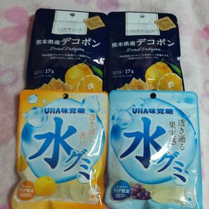 【未開封】ニッポンエール　ひとくちドライフルーツ　熊本県産デコポン　17g×2袋　+　水グミ　巨峰味・みかん味　4点セット