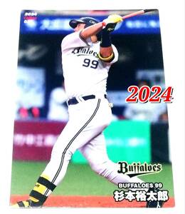 2024　第1弾　杉本裕太郎　オリックスバッファローズ　レギュラーカード　【035】 ★ カルビープロ野球チップス