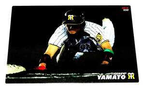 2014　第1弾　大和　阪神タイガース　レギュラーカード　【050】 ★ カルビープロ野球チップス