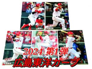 【 2024　第1弾　広島東洋カープ 】　レギュラーカード　全5種セット　★　カルビープロ野球チップス 森下　坂倉　菊池　野間　小園