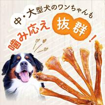 健康いぬ生活 馬肉 アキレス ジャーキー BIG 120g 犬 おやつ 無添加 ガム 国産 長持ち 歯磨きガム アキレス腱 犬用 _画像8