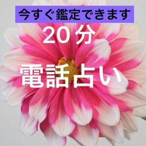 電話占い　占い放題　霊感　タロット　チャネリング　スピリチュアル　電話鑑定