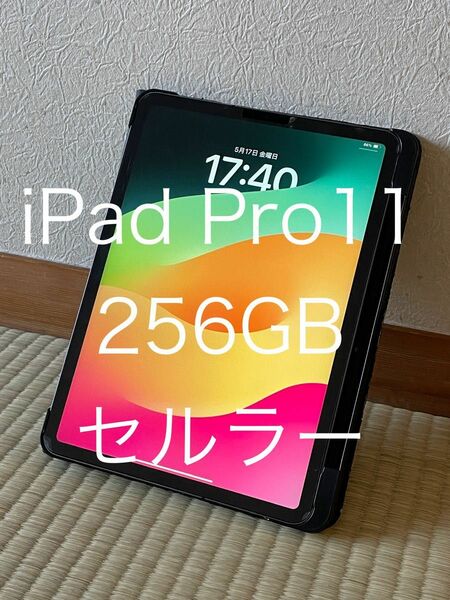 iPad Pro 11 256ギガ Wi-Fi+ Cellular SIMフリー