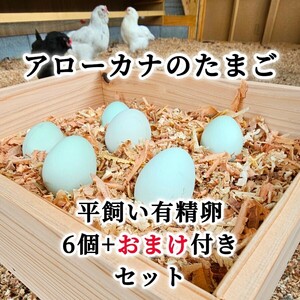 Arrow kana Tama .6 piece entering + extra attaching set have . egg meal for flat .. chicken egg chicken 