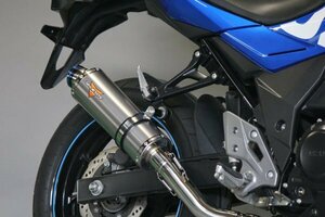 Valiente GSX250R 2BK-DN11A バイクマフラー デュラ チタンソリッド マフラー カスタム スリップオン バリエンテ スズキ v-201-du8