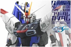 MG 1/100 ZGMF-X10A フリーダムガンダム　改修全塗装完成品