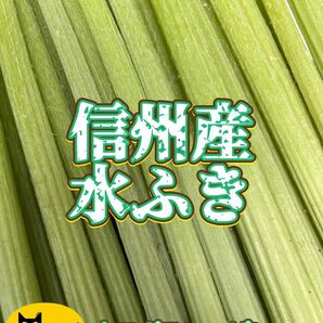 信州産 山菜 水ふき 箱込み 約800g