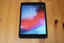 Docomo ipad mini2 iPad mini 2 Wi-Fi+Cellular 64GB_画像1