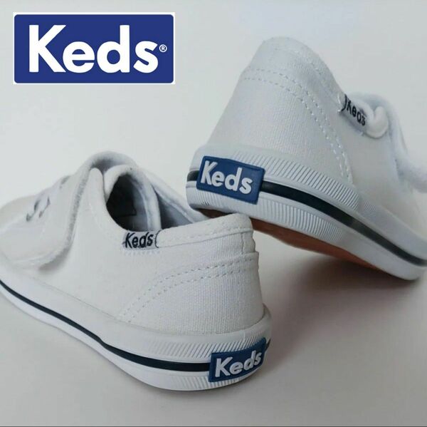 【１６ｃｍ】Keds　ケッズ　キッズスニーカー