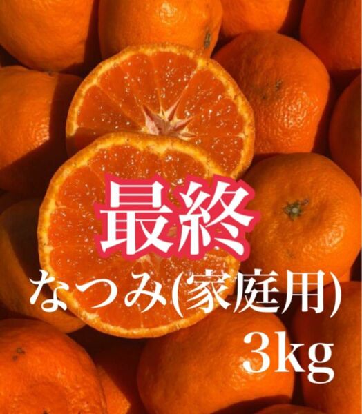 愛媛県産みかん なつみ 箱別3kg 柑橘 ミカン 果物