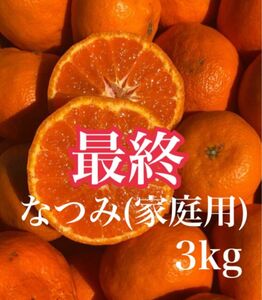 愛媛県産みかん なつみ 箱別3kg 柑橘 ミカン 果物