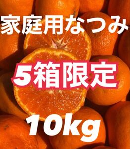 愛媛県産みかん なつみ 箱込10kg 柑橘 ミカン 果物