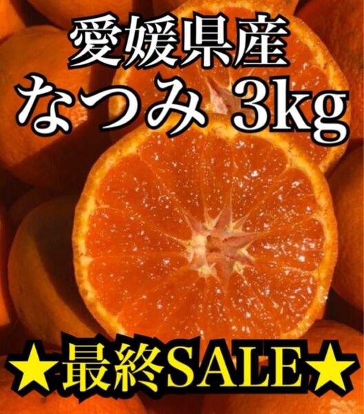 愛媛県産みかん なつみ 箱別3kg 柑橘 ミカン 果物