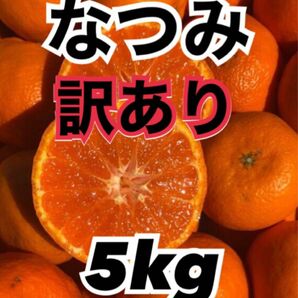 愛媛県産みかん 訳あり なつみ 箱込5kg 柑橘 ミカン 果物