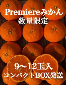 愛媛県産 Premiereみかん コンパクトBOX発送 柑橘 果物 ミカン
