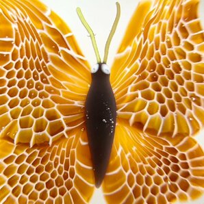 F 極美品 Baccarat バカラ 蝶々 000/125 オレンジ クリスタル 大型 ペーパーウェイト 文鎮 置物の画像3