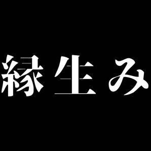 【最高級】5万人鑑定の実績　　縁結び　鑑定　占い　不倫　霊視鑑定　恋愛　スピード　両思い　結婚　護符　形代　力　愛　波動