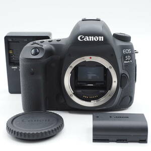 ★ショット数11,345回・実用品★ Canon キヤノン デジタル一眼レフ EOS 5D Mark IV ボディー EOS5DMK4 #2244