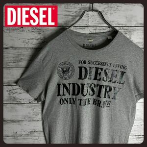 DIESEL ディーゼル　Tシャツ　グレー　Mサイズ