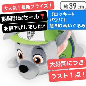 《ロッキー》パウパト　超BIGぬいぐるみ　〜約39cm〜