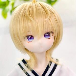 【ぱんだどーる】DDH-29 カスタムヘッド + デカールアイ SW 