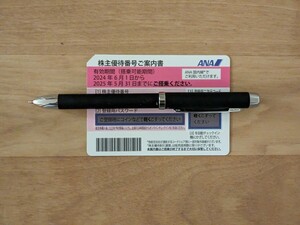 最新　全日空　ANA 株主優待券1枚とANAグループ優待券　2024年6月1日から2025年5月31日迄　送料無料