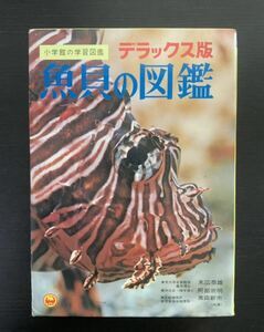 小学館の学習図鑑/デラックス版/魚貝の図鑑/昭和47年4月10日初版第1刷発行/初版本/本/レア/貴重/希少/函付き/児童書/末広恭明/阿部宗明