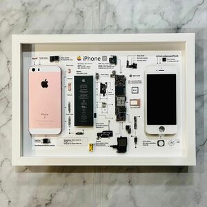 iPhone SE Rose Gold 標本アート ボックスフレーム仕様 (A4サイズ)