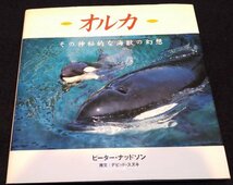 オルカ: その神秘的な海獣の幻想★シャチ 写真集　ORCA　Killer Whale　鯱　グランパス　海のギャング_画像1