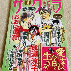 サクラ愛の物語　6月号 レディースコミック　レディコミ　最新号