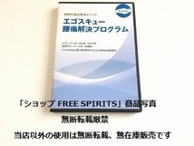 DVD「奇跡の痛み解消メソッド エゴスキュー腰痛解決プログラム」2枚組・状態良好/運動療法/エクササイズ_画像1