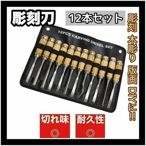 彫刻刀 12本セット ノミ のみ 蚤 木彫り 彫刻 版画 DIY 工具 大工道具