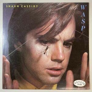 32659【プロモ盤★美盤】【日本盤】 Shaun Cassidy / Wasp