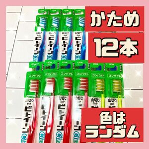 12本 ライオン ビトイーン ハブラシ クリアカラー かため