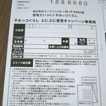 レシート懸賞応募、選べるPay1000円分当たる！締切7月3日、スーパー共同企画_画像3