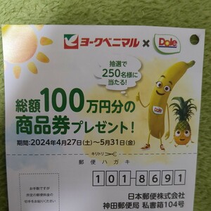 レシート懸賞応募、総額100万円分の商品券プレゼント！セブン＆アイ商品券当たる！締切6月2日、スーパー共同企画