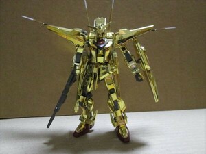 ＨＧ　アカツキオオワシ　ジャンク