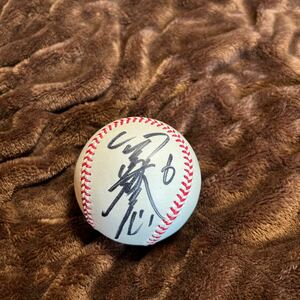  Hanshin Tigers gold book@ player .. autograph autograph ball 