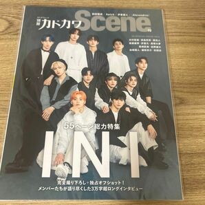 別冊カドカワScene 10