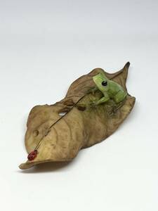 可愛い 【蛙シリーズ 木の葉と天道虫 大】 無事に帰る カエル 縁起物 置物 装飾品 飾り インテリア オブシェ 小物