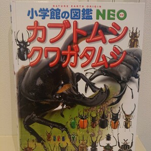 カブトムシ・クワガタムシ (小学館の図鑑NEO) 