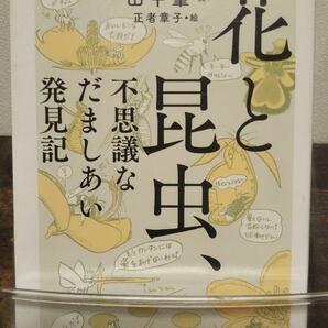 花と昆虫、不思議なだましあい発見記 (ちくま文庫)