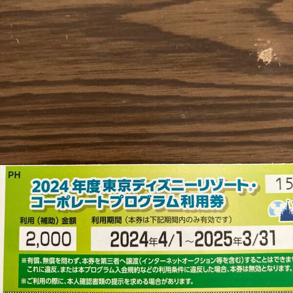 東京ディズニーリゾート コーポレートプログラム利用券